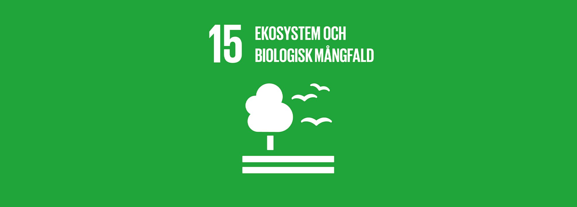 Officiell bild från FN om mål 15. Grön bakgrund med texten "Ekosystem och biologisk mångfald".